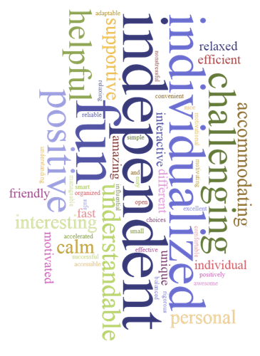 A collage of words, Friendly, interesting, positive, motivated, helpful, reliable, fun, smart, organized, safe, fast, accelerated, calm, adaptable, supportive, amazing, understandable, independent, convenient, interactive, different, choices, effective, unique, individualized, personal, relaxed, efficient, challenging, individual, positively, awesome, accommodating